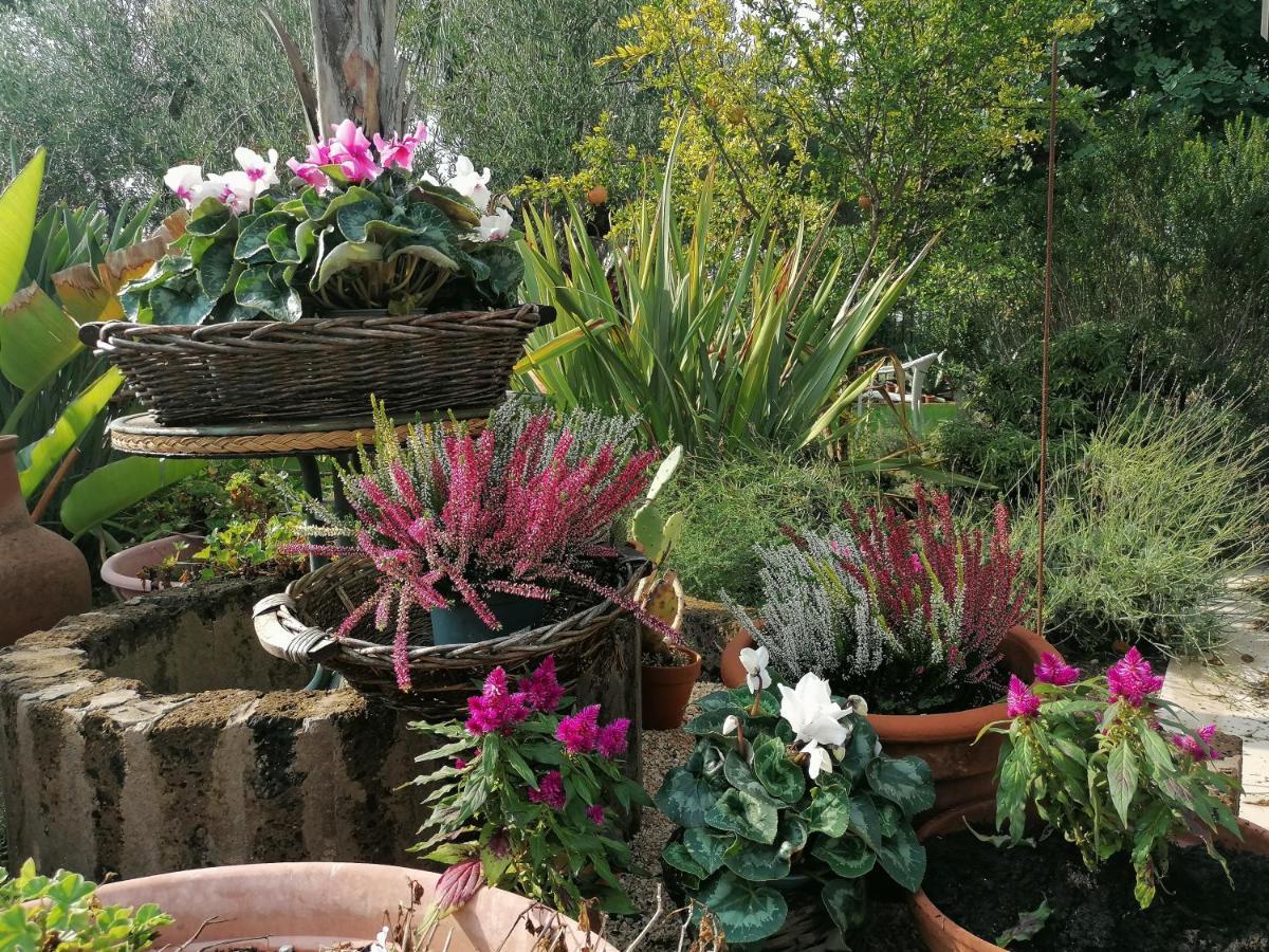 Il Giardino Del Te Hotel Barletta Ngoại thất bức ảnh