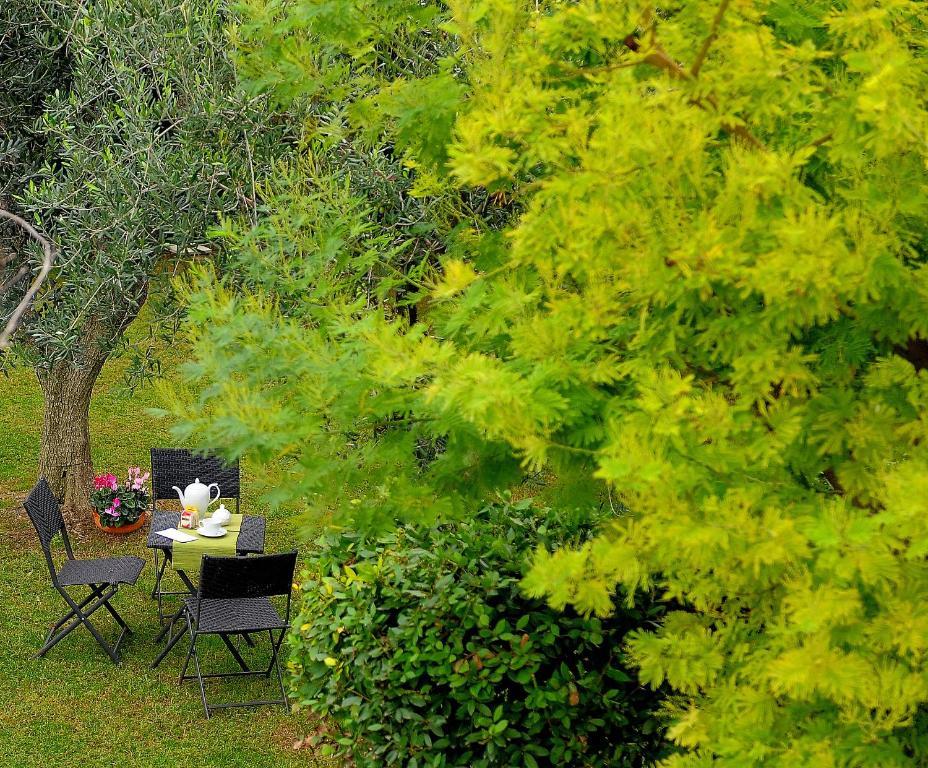 Il Giardino Del Te Hotel Barletta Ngoại thất bức ảnh