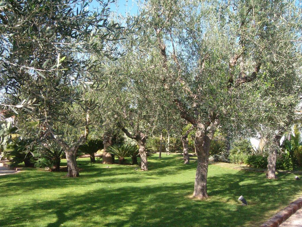 Il Giardino Del Te Hotel Barletta Ngoại thất bức ảnh