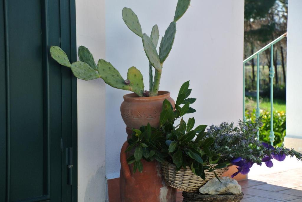 Il Giardino Del Te Hotel Barletta Phòng bức ảnh