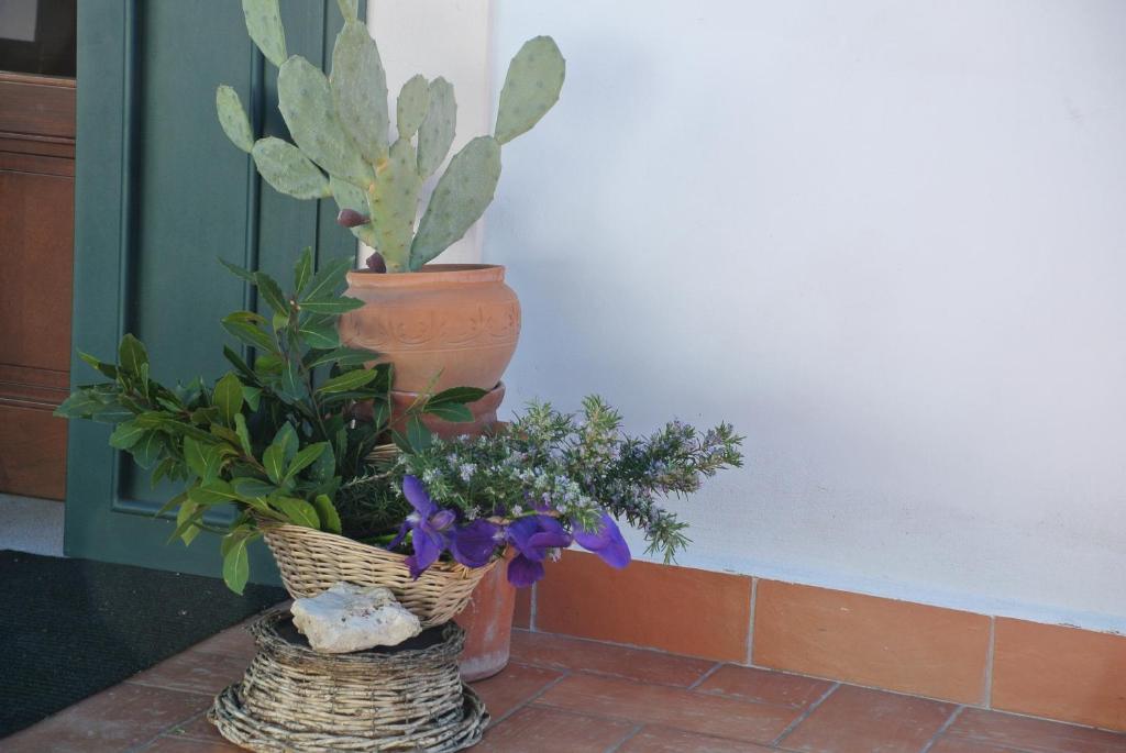 Il Giardino Del Te Hotel Barletta Ngoại thất bức ảnh